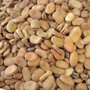 باقالی خشک بهشهر