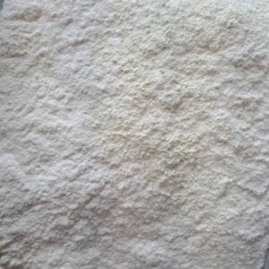 ثعلب سان روز