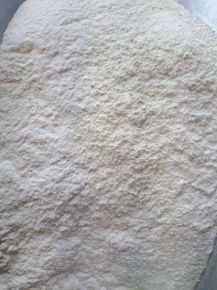 ثعلب سان روز