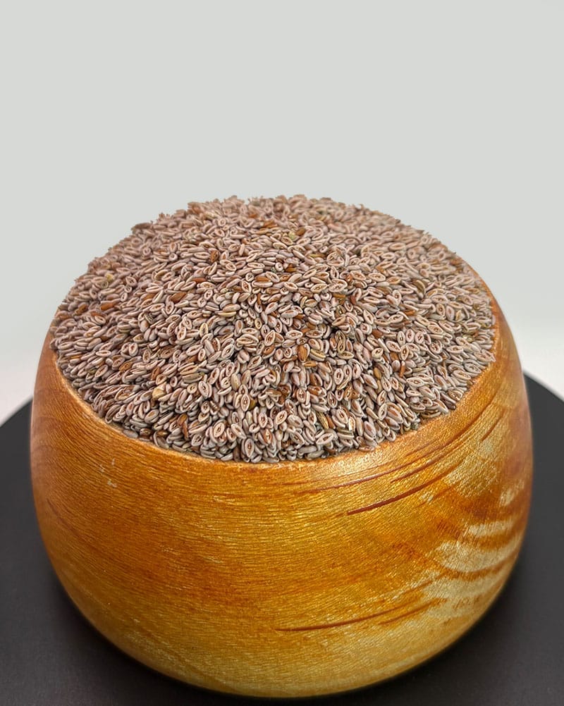 اسفرزه مرغوب