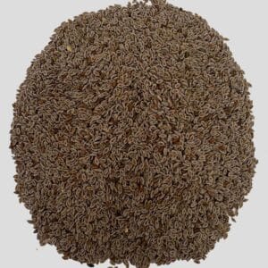 قیمت اسفرزه