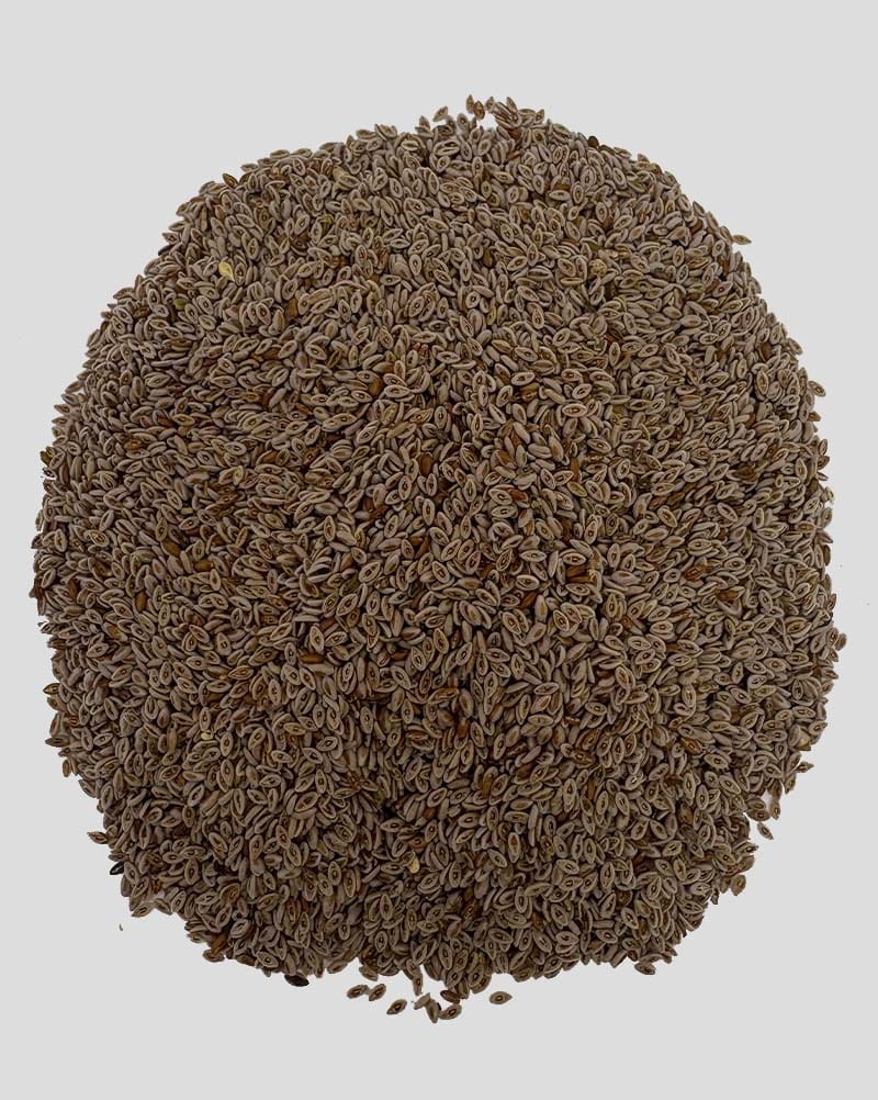 قیمت اسفرزه