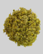 افسنطین