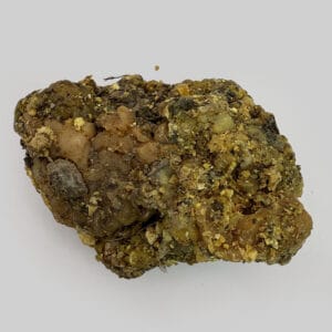 قیمت انغوزه