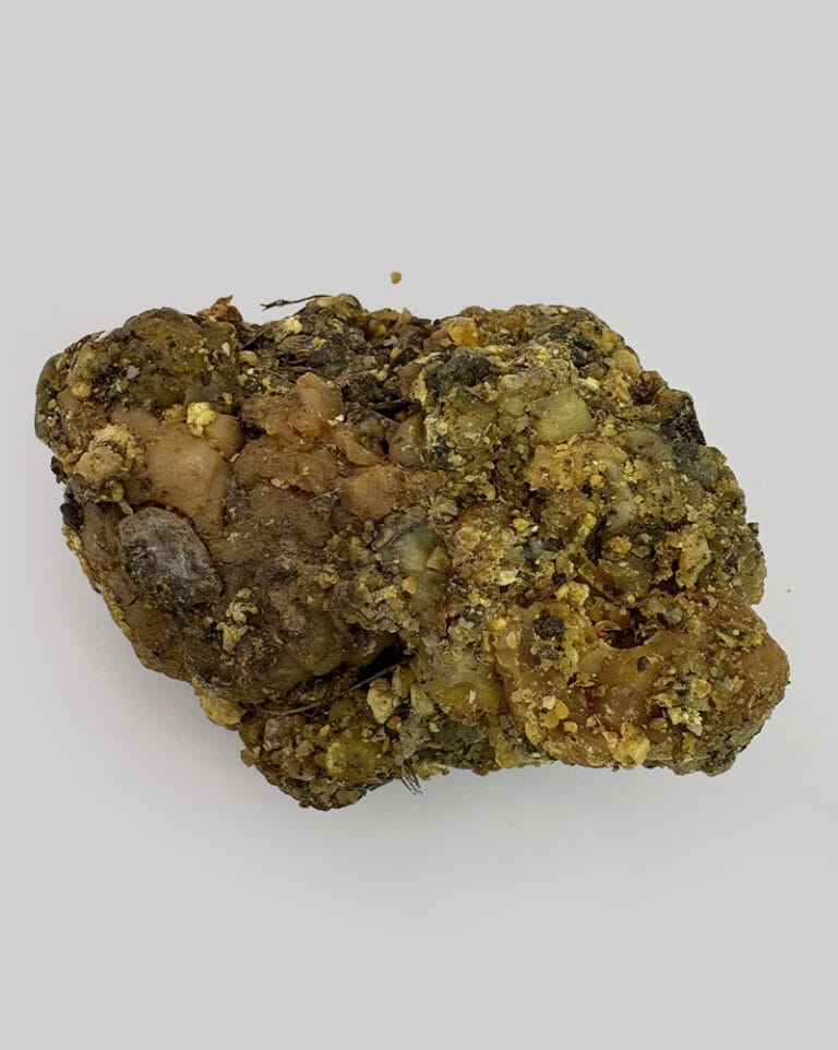 قیمت انغوزه