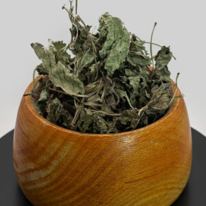 بادر‌ نجبو‌یه
