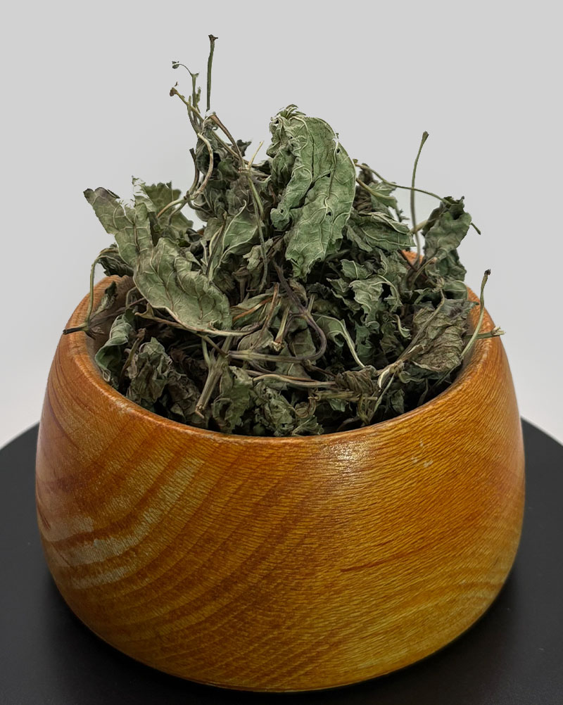 بادر‌ نجبو‌یه