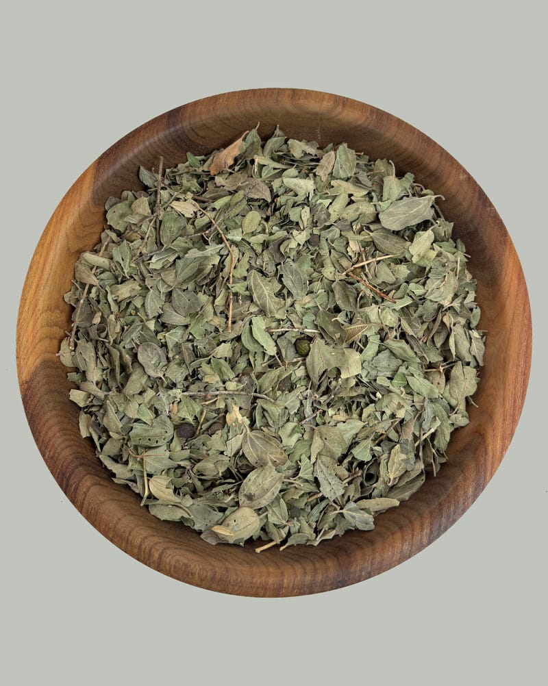 برگ سدر
