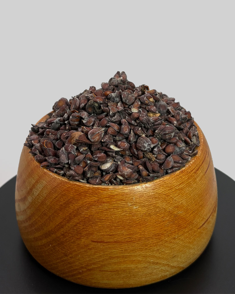 به دانه لوکس ۱۴۰۴
