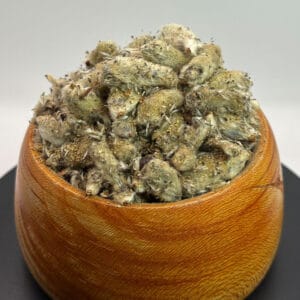 خرید بیدمشک خشک