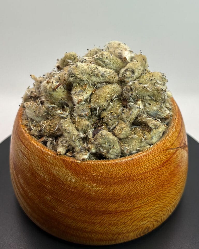 خرید بیدمشک خشک