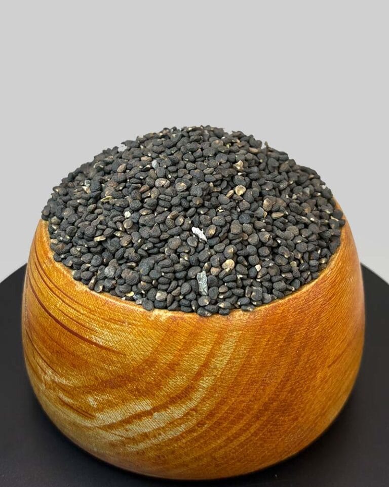 خرید تاتوره