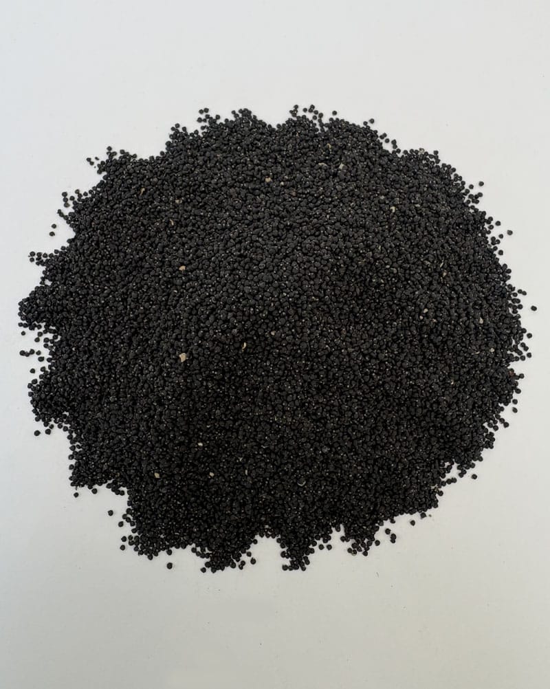 خرید تخم خرفه