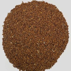 خرید تخم شاهی