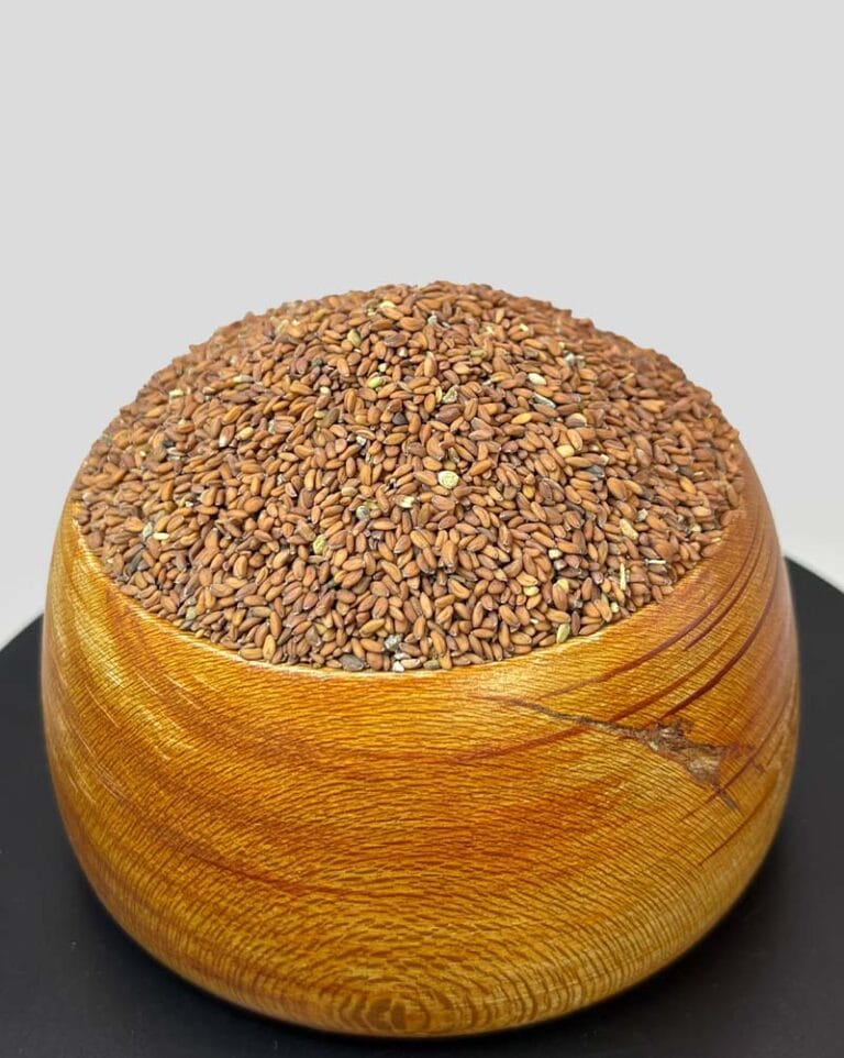 قیمت تخم شاهی