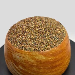 خرید تخم شبدر