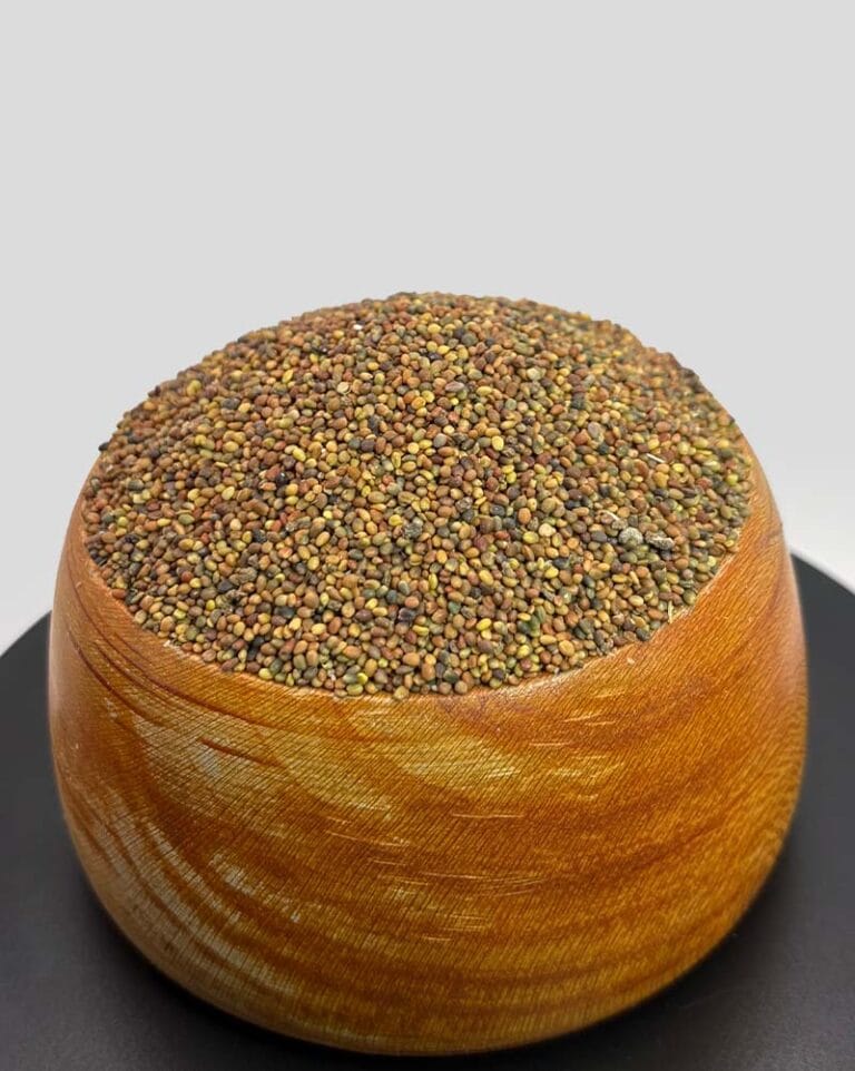 خرید تخم شبدر