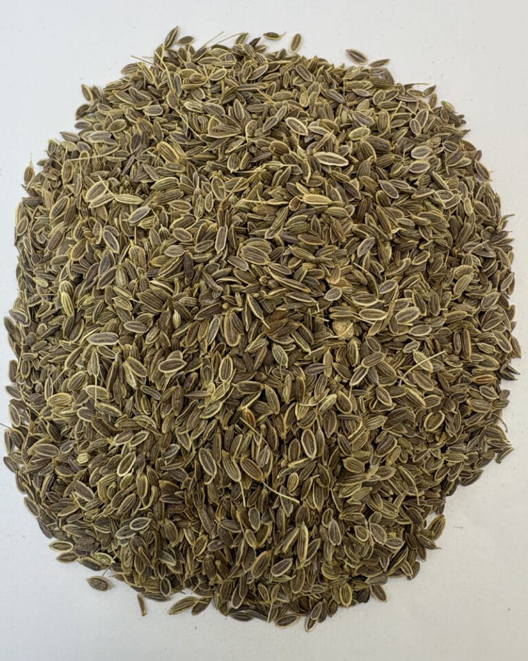 خرید تخم شوید