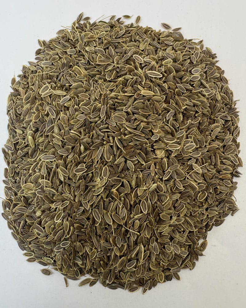 خرید تخم شوید