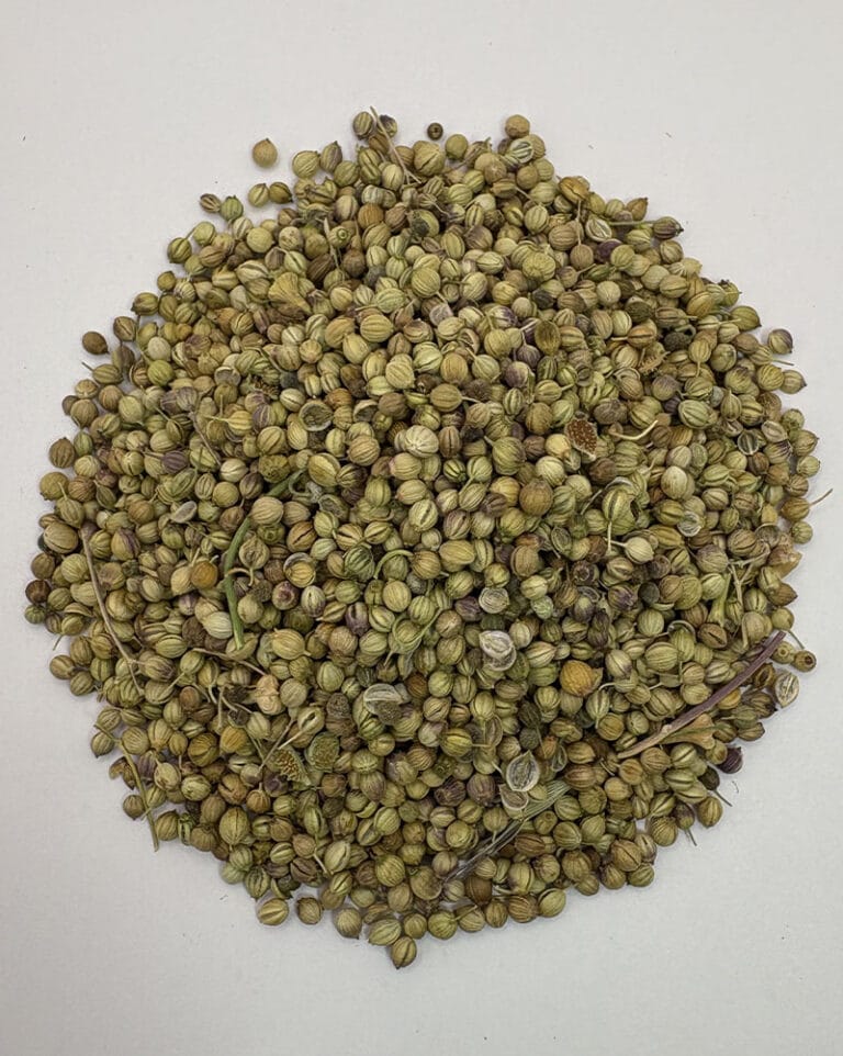 تخم گشنیز مرغوب