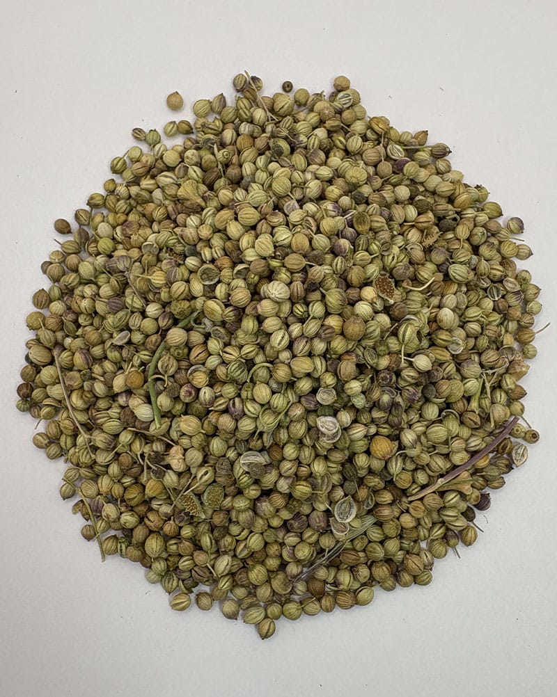 تخم گشنیز مرغوب