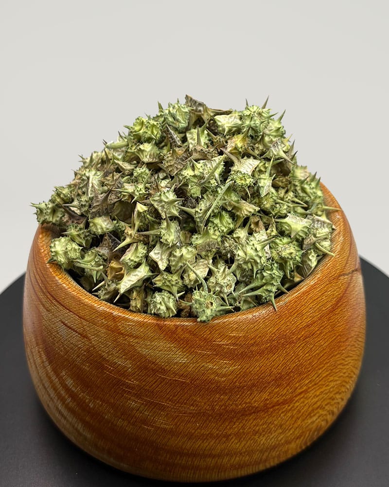 خرید خارخاسک