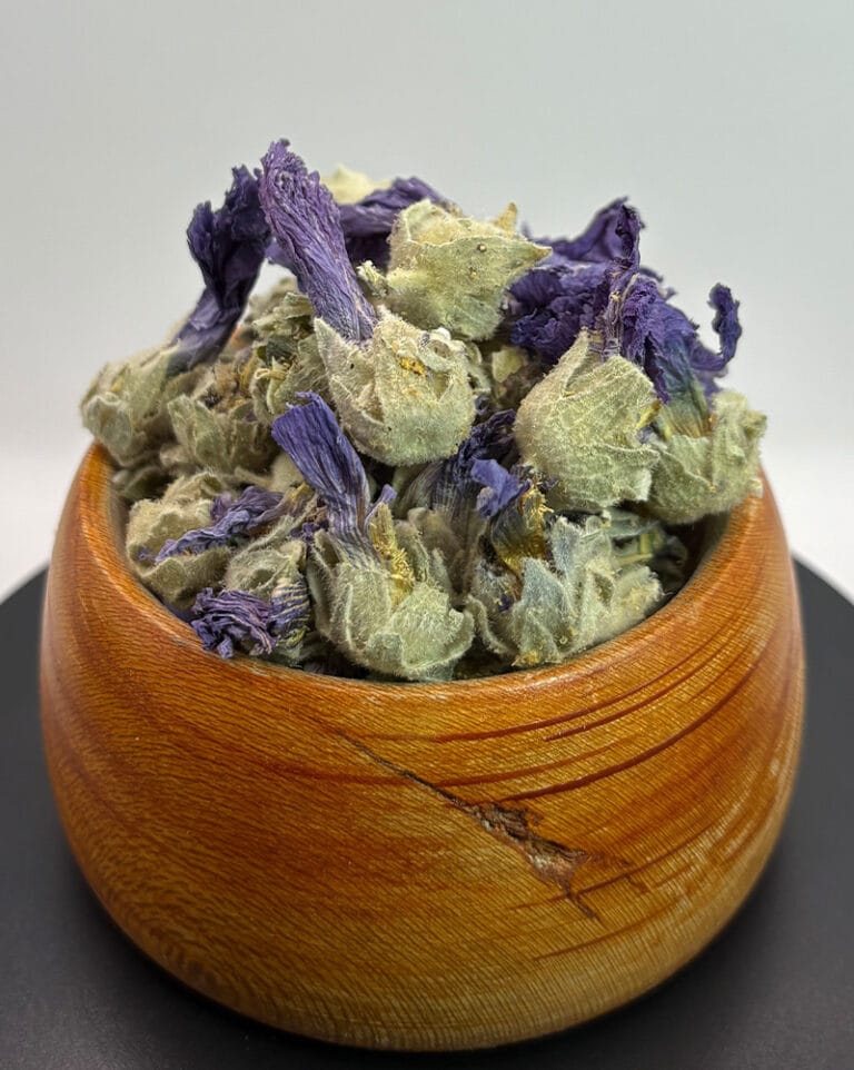 ختمی بنفش مرغوب