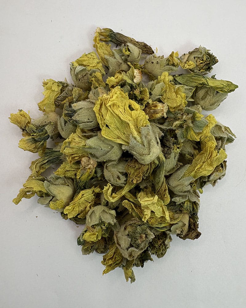 قیمت ختمی زرد