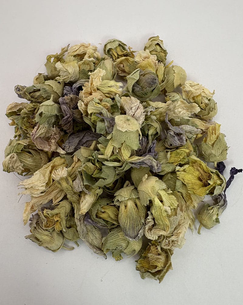 قیمت ختمی سفید