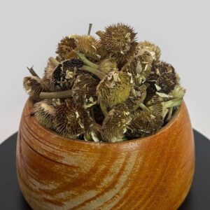 خرید بابونه شمالی