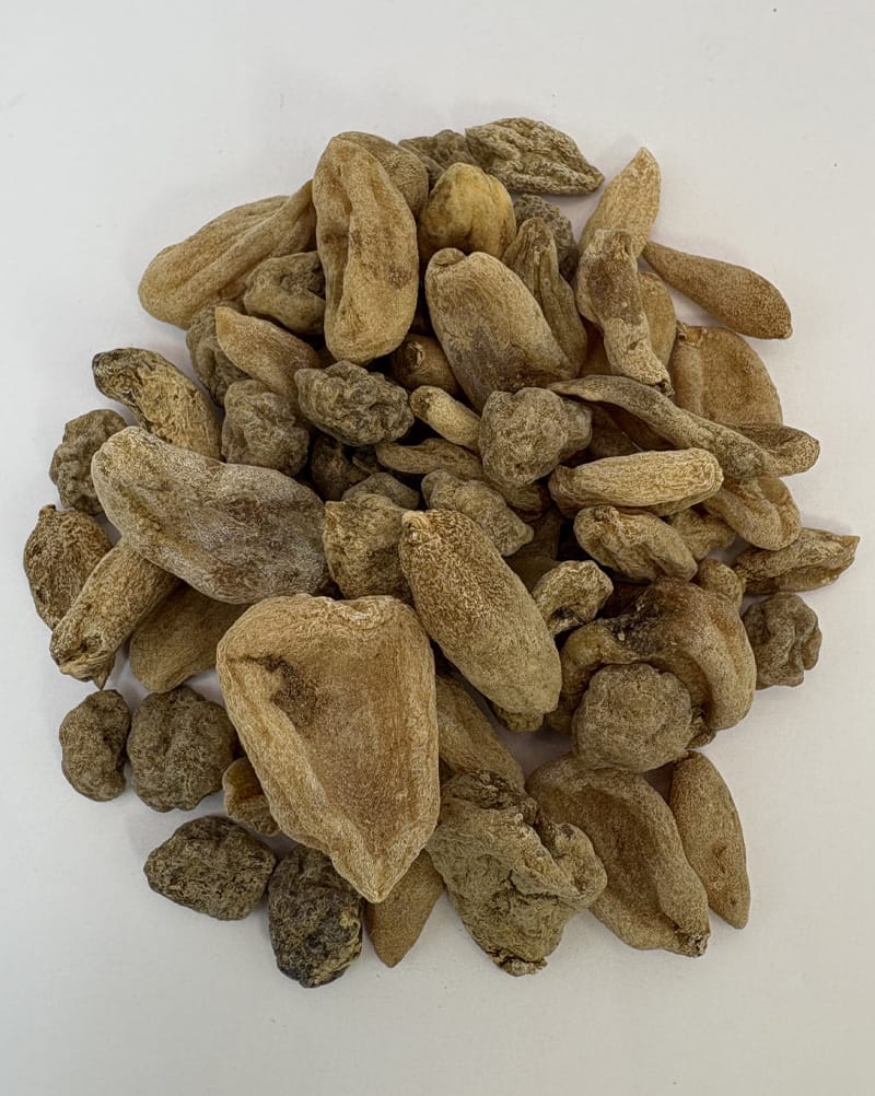 خرید ثعلب قلوه