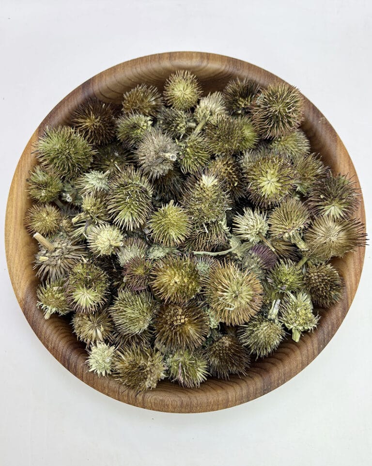 خرید سرخارگل