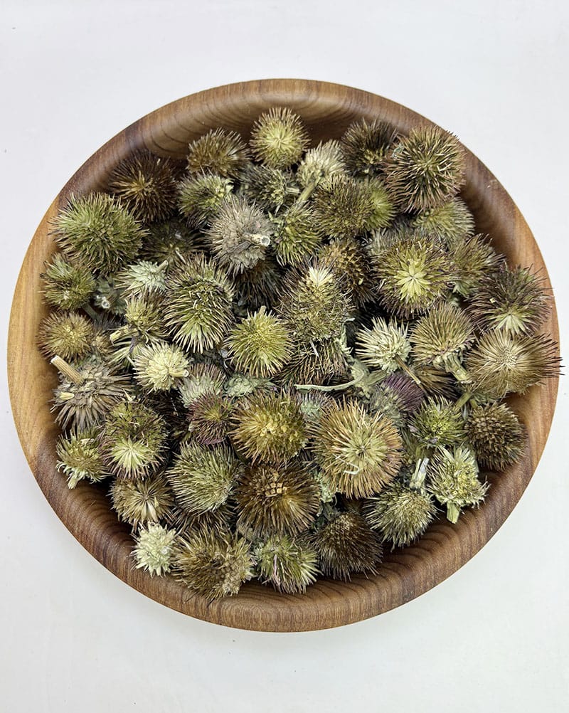 خرید سرخارگل