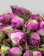 خرید غنچه گل محمدی لاله داراب