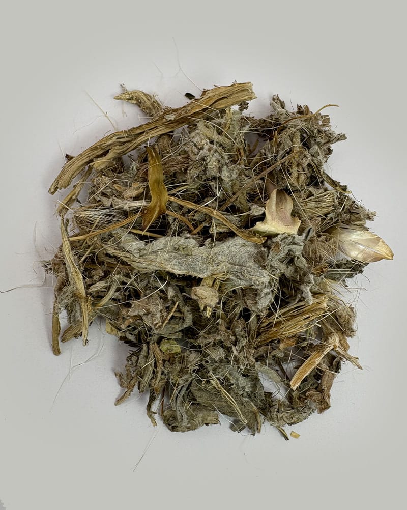 خرید کنگر فرنگی