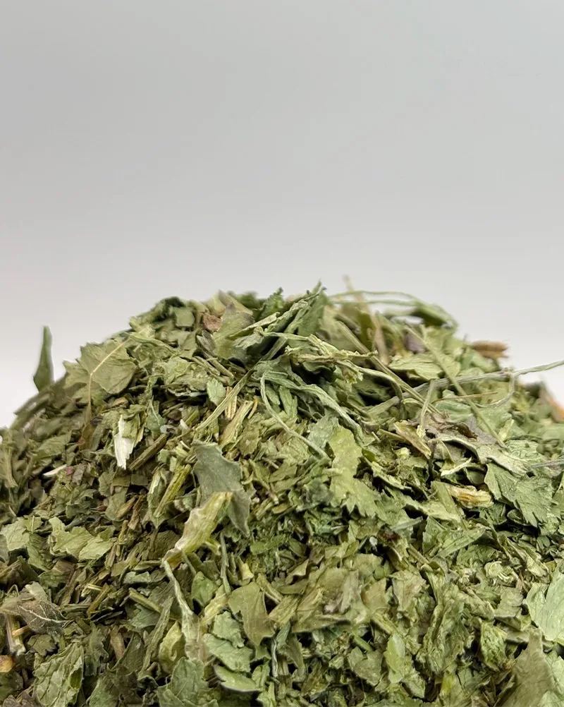 خرید گشنیز خشک