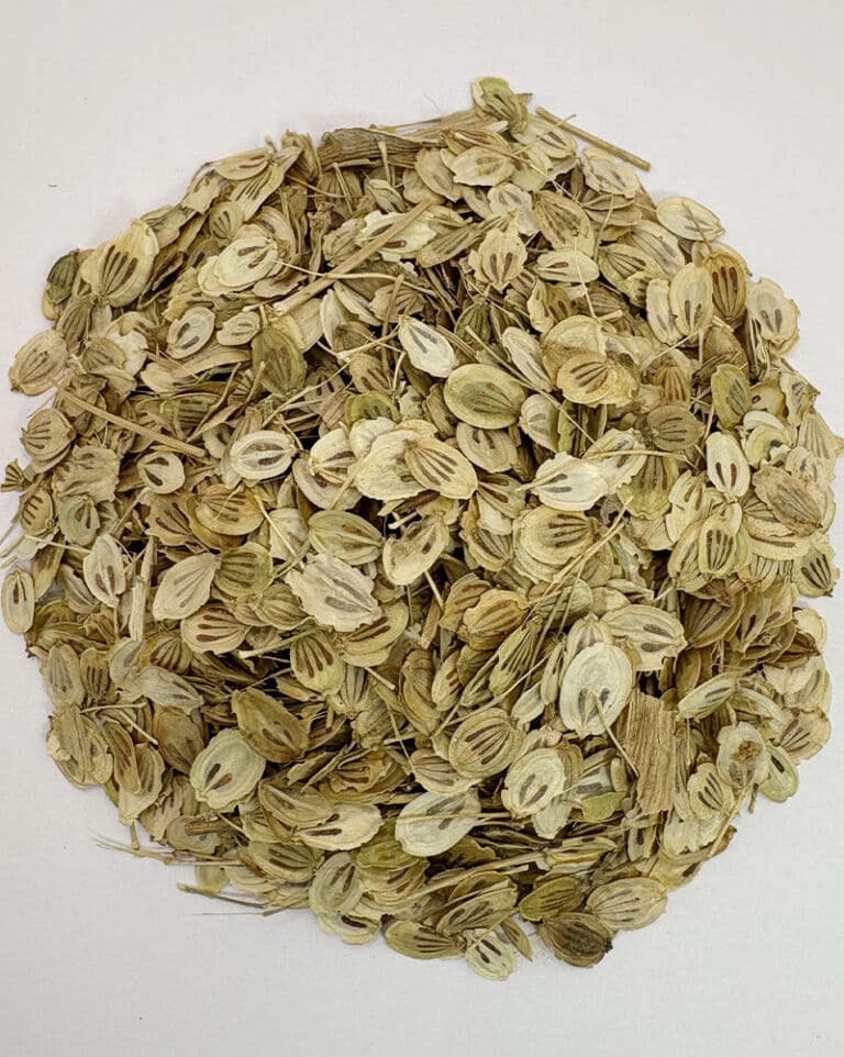 خرید گلپر درشت اعلا