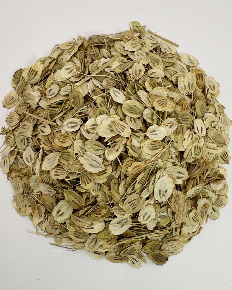 خرید گلپر درشت اعلا