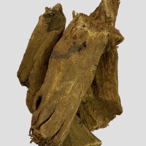 ریوند‌ چینی