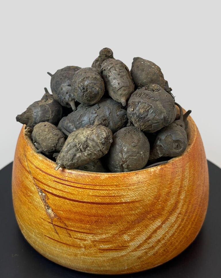 قیمت سعد کوفی