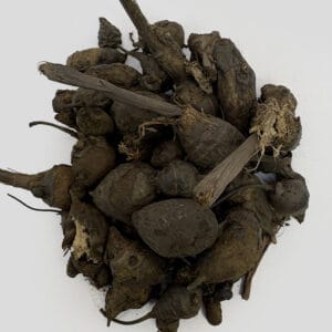 خرید سعد کوفی