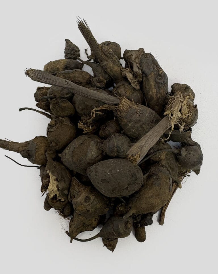 خرید سعد کوفی