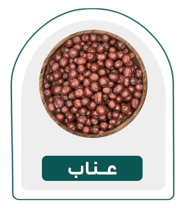 عناب-دسته بندی