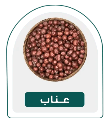 عناب-دسته بندی
