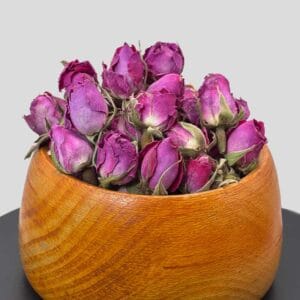 غنچه گل محمدی لاله زار