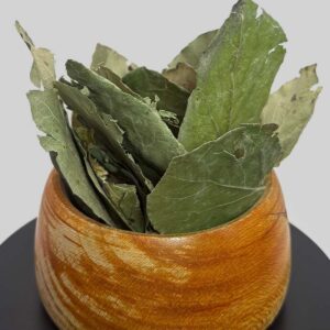 قیمت برگ به