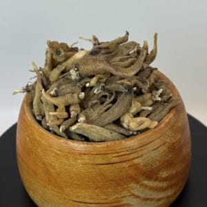 قیمت ثعلب پنجه