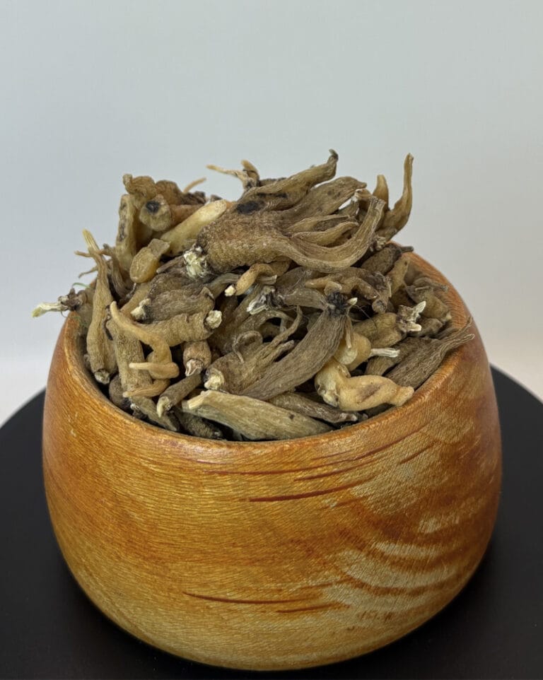 قیمت ثعلب پنجه