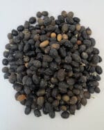 نخل اره‌ای