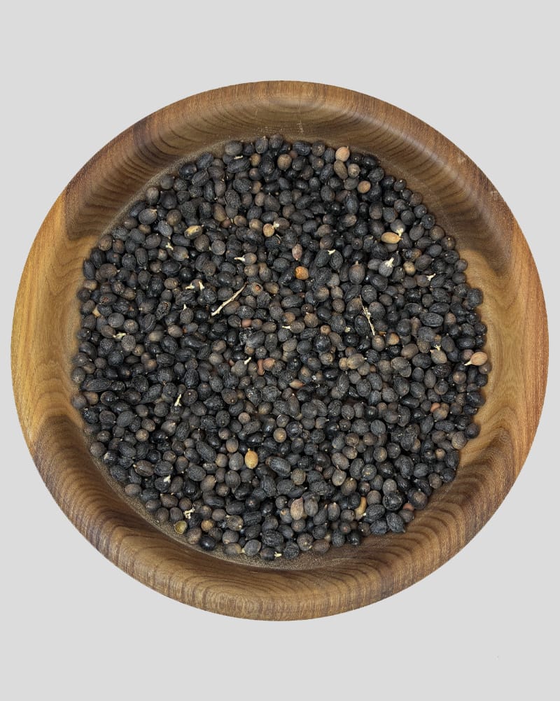 خرید نخل اره‌ای